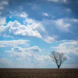 Alone With My Thoughts